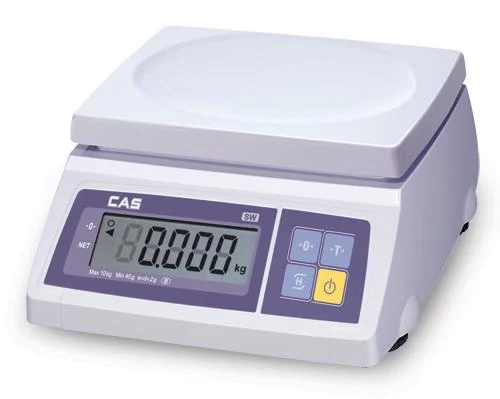 Cas SW-1C 30KG Scale W/RS232