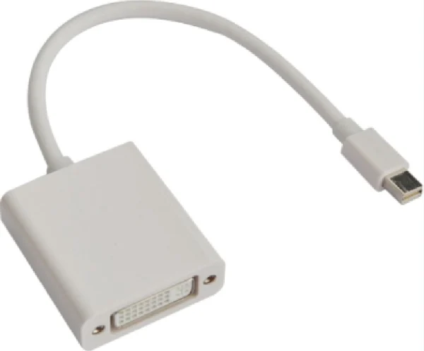 Astrotek AT-MINIDPDVI-MFMini DisplayPort DP to DVI Cable 20cm – 20 pins Male to 24+5 pins Astrotek AT-MINIDPDVI-MF Mini DisplayPort DP to DVI Cable 20cm