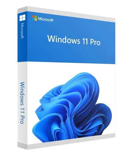 Microsoft HAV-00163 Windows 11 Professional 64-bit USB Flash Drive Retail Pack Full Package